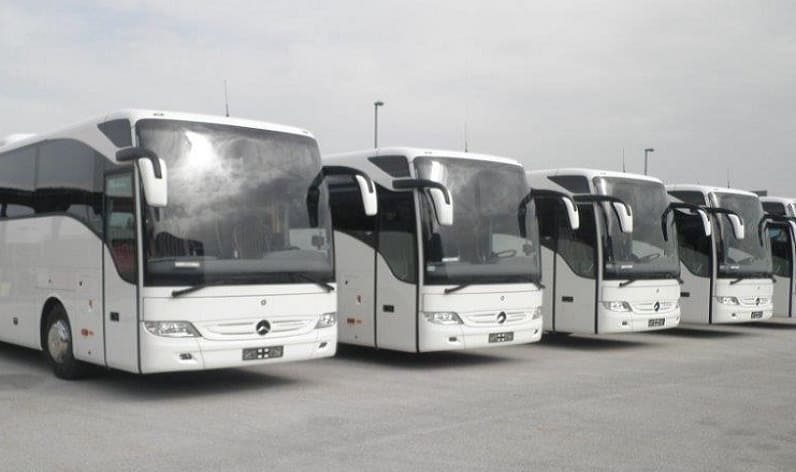 Malta region: Bus company in Msida in Msida and Malta